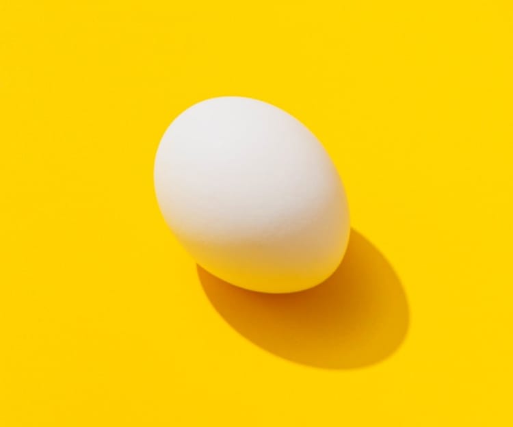 white egg with yellow background